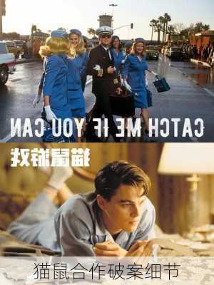 猫鼠合作破案细节