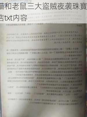 貓和老鼠三大盜賊夜袭珠寶店txt内容