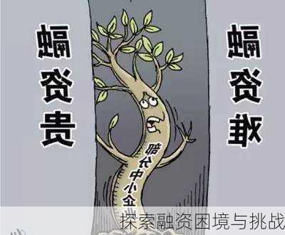 探索融资困境与挑战