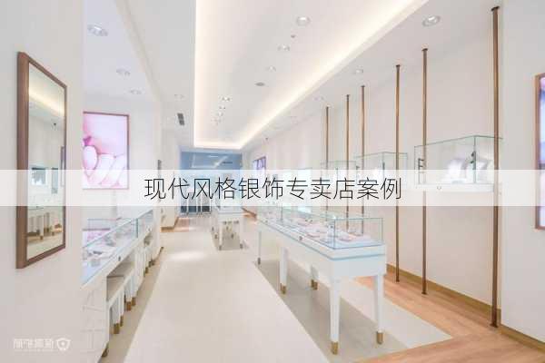 现代风格银饰专卖店案例