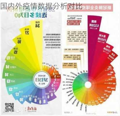 国内外疫情数据分析对比
