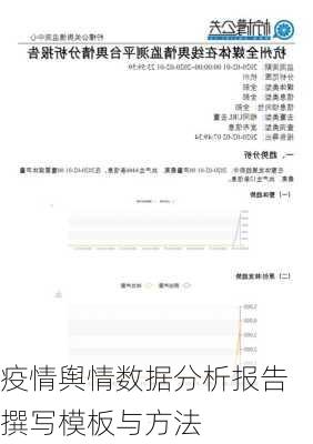 疫情舆情数据分析报告撰写模板与方法