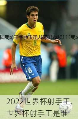 2022世界杯射手王,世界杯射手王是谁