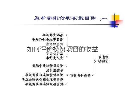 如何评价投资项目的收益