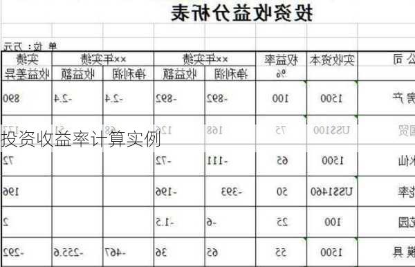 投资收益率计算实例