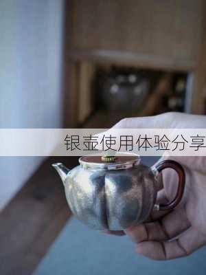 银壶使用体验分享