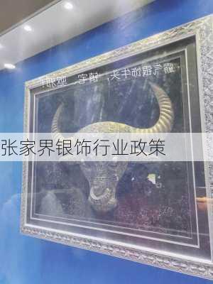 张家界银饰行业政策