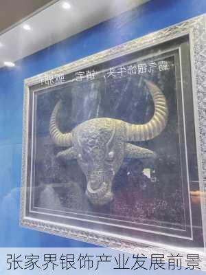 张家界银饰产业发展前景