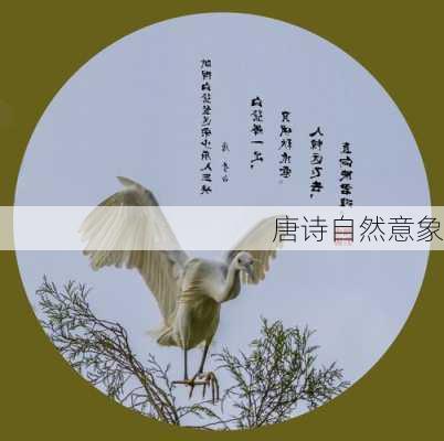 唐诗自然意象