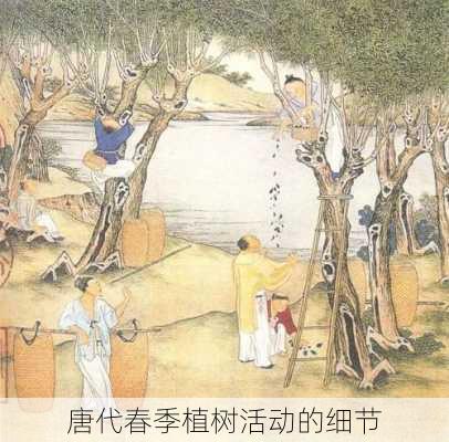 唐代春季植树活动的细节