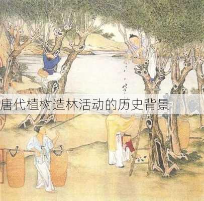 唐代植树造林活动的历史背景