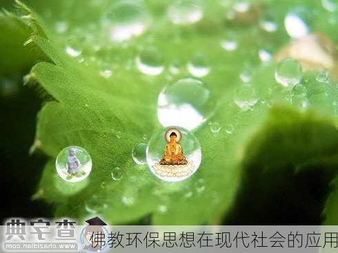 佛教环保思想在现代社会的应用