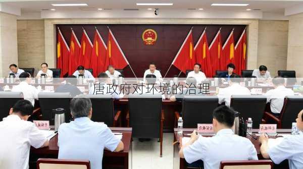 唐政府对环境的治理