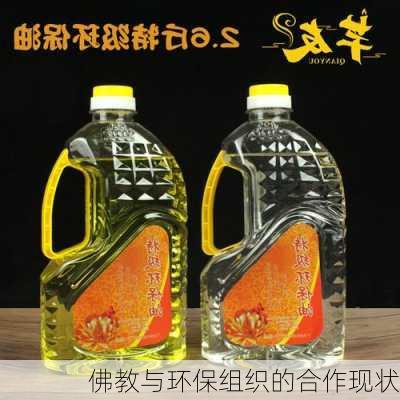 佛教与环保组织的合作现状