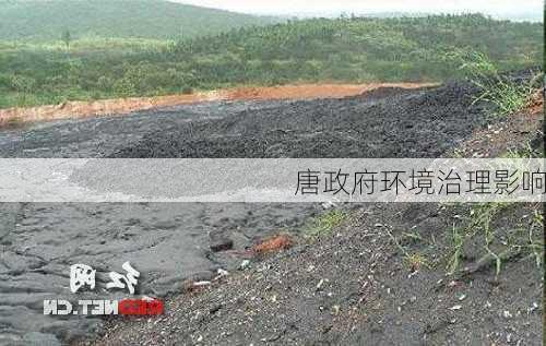 唐政府环境治理影响