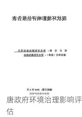 唐政府环境治理影响评估