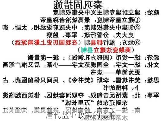 唐代盐业政策的影响
