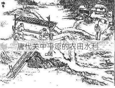 唐代关中平原的农田水利