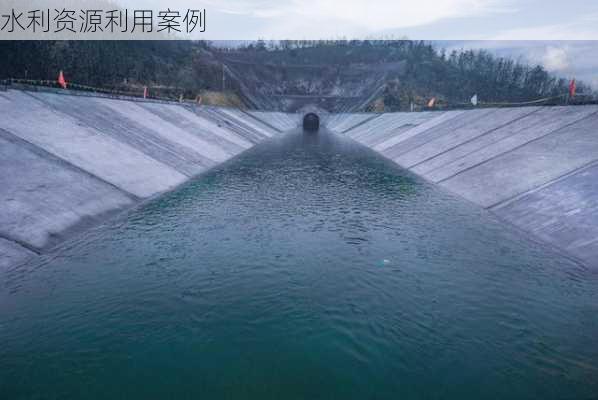 水利资源利用案例