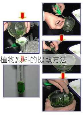植物颜料的提取方法