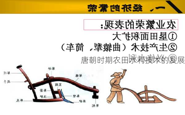 唐朝时期农田水利技术的发展