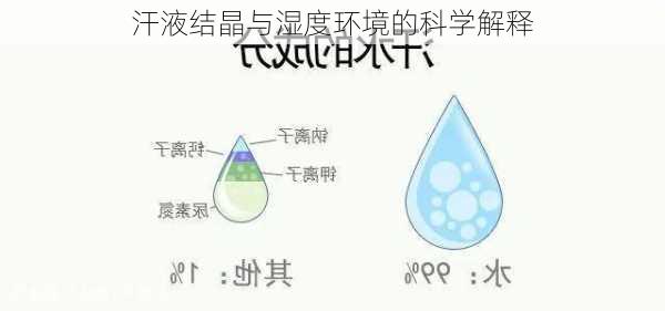 汗液结晶与湿度环境的科学解释