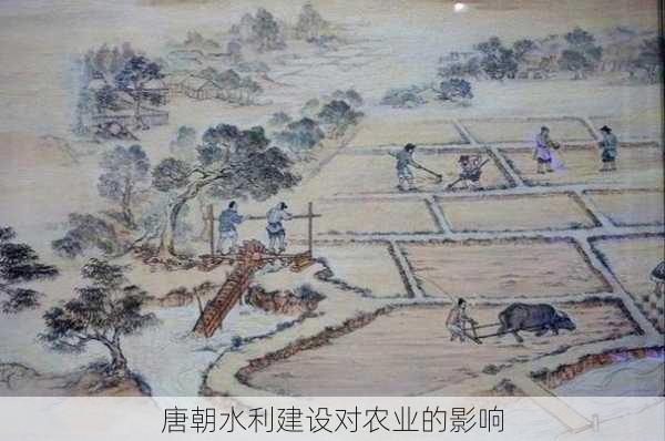 唐朝水利建设对农业的影响
