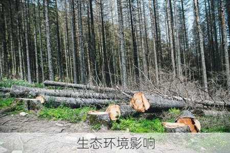 生态环境影响