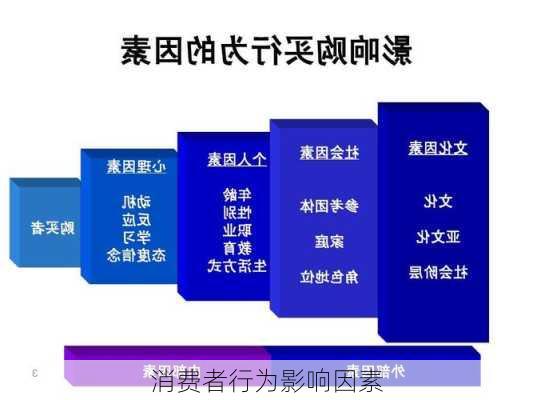 消费者行为影响因素