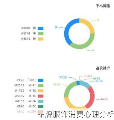品牌服饰消费心理分析