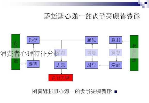 消费者心理特征分析