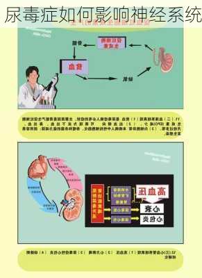 尿毒症如何影响神经系统