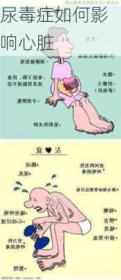 尿毒症如何影响心脏