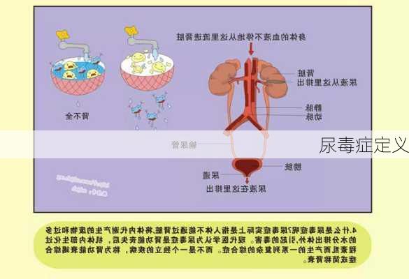 尿毒症定义