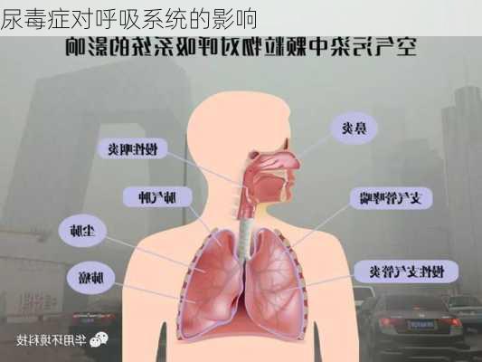 尿毒症对呼吸系统的影响