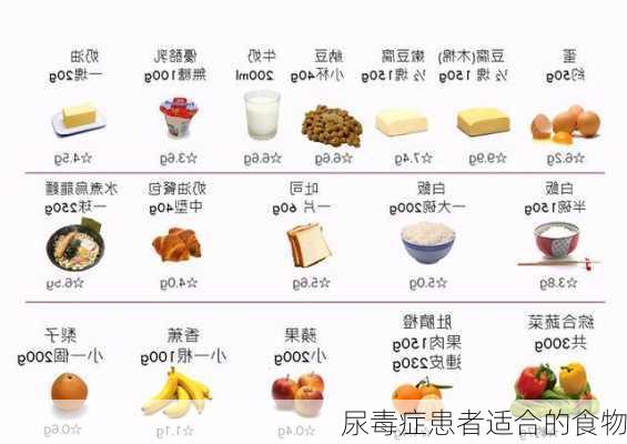 尿毒症患者适合的食物