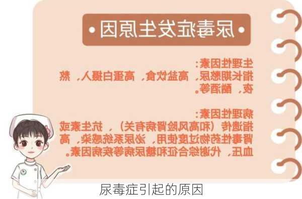 尿毒症引起的原因