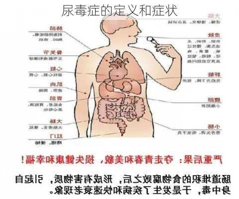尿毒症的定义和症状