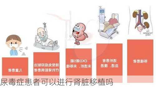 尿毒症患者可以进行肾脏移植吗