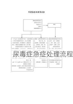 尿毒症急症处理流程