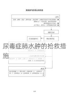 尿毒症肺水肿的抢救措施