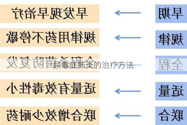 尿毒症肺炎的治疗方法