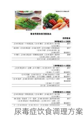 尿毒症饮食调理方案