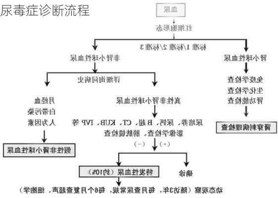 尿毒症诊断流程