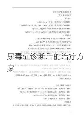 尿毒症诊断后的治疗方案