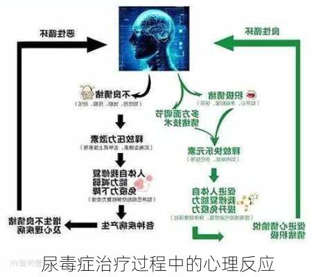 尿毒症治疗过程中的心理反应