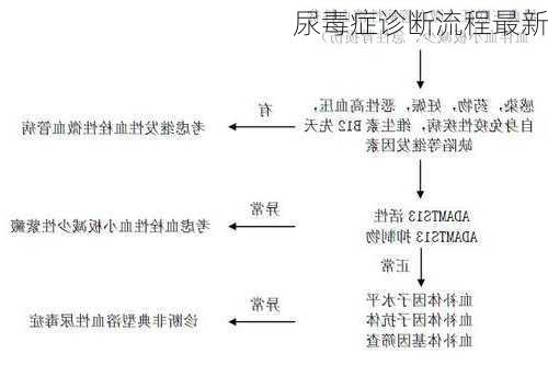 尿毒症诊断流程最新