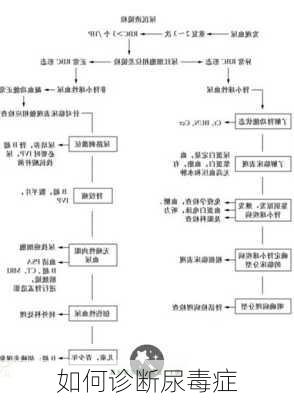 如何诊断尿毒症