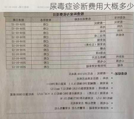 尿毒症诊断费用大概多少