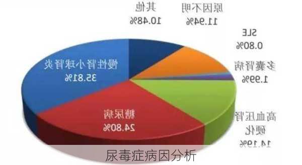 尿毒症病因分析
